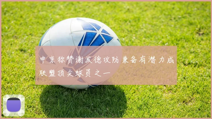 申京称赞谢泼德攻防兼备有潜力成联盟顶尖球员之一