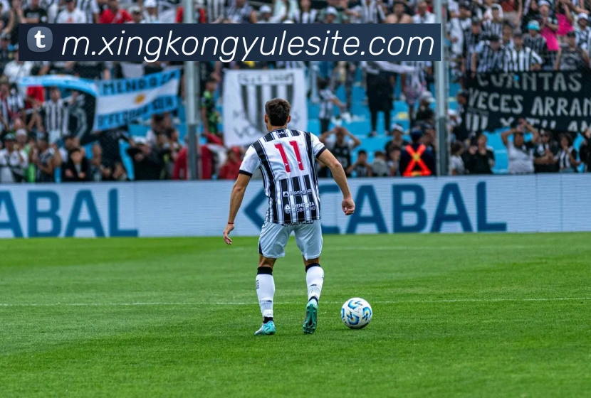 星空娱乐平台生态图